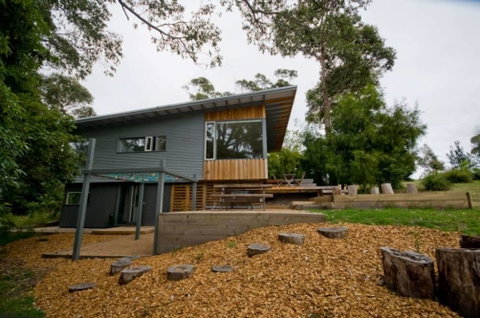 Flounder - Accommodation Great Ocean Road 2