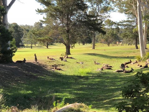 Golf View Motel - Accommodation Great Ocean Road 1
