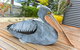 Goolwa Pelican Cottage - thumb 1