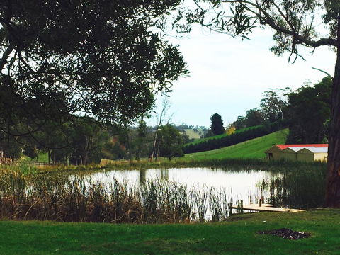 Gracefield Estate - Accommodation Great Ocean Road 0