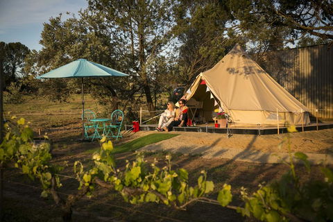Grapevine Glamping - Accommodation Great Ocean Road 0