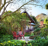 Hills End Camellia - Accommodation Great Ocean Road