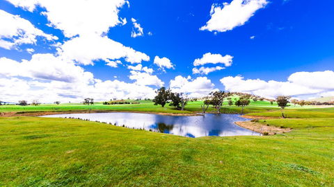 Hillview Farmstay - Accommodation Great Ocean Road 0