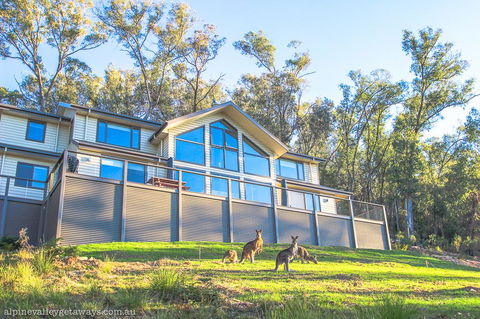 Kangaroo Lodge - Accommodation Great Ocean Road 1