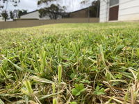 Book Karoonda Accommodation Vacations Accommodation Great Ocean Road Accommodation Great Ocean Road