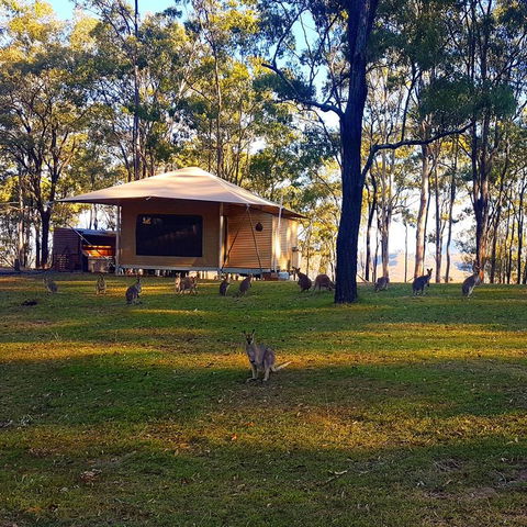 Ketchup's Bank Glamping - Accommodation Great Ocean Road 3