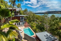 Kingfisher on Hamilton Island