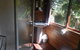 Lillypilly Cottage - thumb 0