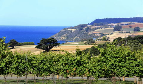Mallavale Farm, Boat Harbour - Accommodation Great Ocean Road 0