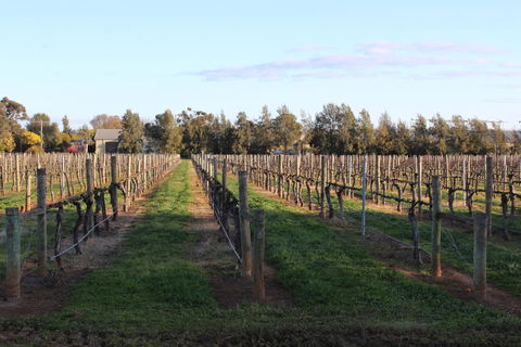 Milawa Vineyard Views - Guesthouse 1 - Accommodation Great Ocean Road 1