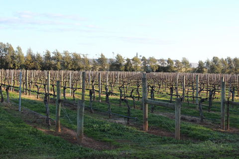Milawa Vineyard Views - Guesthouse 2 - Accommodation Great Ocean Road 0