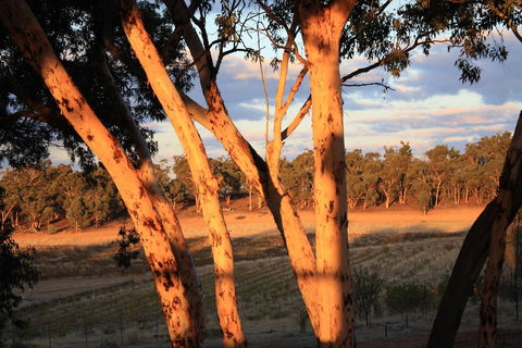 Hotham Ridge Estate - Accommodation Great Ocean Road 30