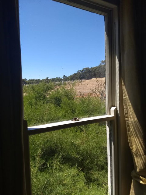 Hotham Ridge Estate - Accommodation Great Ocean Road 8