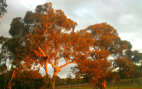 Hotham Ridge Estate - Accommodation Great Ocean Road 35