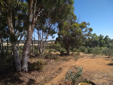 Hotham Ridge Estate - Accommodation Great Ocean Road 13