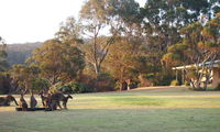 Book Walpole Accommodation Vacations Accommodation Great Ocean Road Accommodation Great Ocean Road