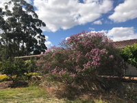 Book Cockburn Central Accommodation Vacations Accommodation Great Ocean Road Accommodation Great Ocean Road