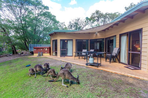 Yelverton Brook Conservation Sanctuary - Accommodation Great Ocean Road 18