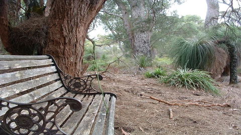 Yelverton Brook Conservation Sanctuary - Accommodation Great Ocean Road 42