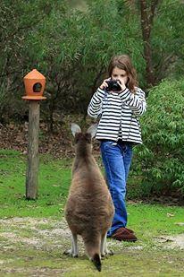 Yelverton Brook Conservation Sanctuary - Accommodation Great Ocean Road 39