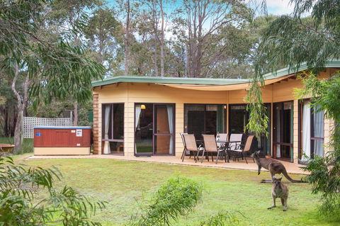 Yelverton Brook Conservation Sanctuary - Accommodation Great Ocean Road 20