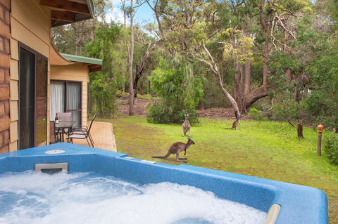 Yelverton Brook Conservation Sanctuary - Accommodation Great Ocean Road 9
