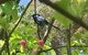 Tegwan's Nest Holiday Home - thumb 19