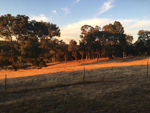 Tegwan's Nest Holiday Home - Accommodation Great Ocean Road 18
