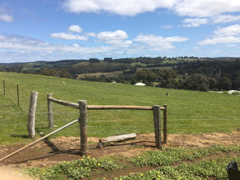 Tegwan's Nest Holiday Home - Accommodation Great Ocean Road 39