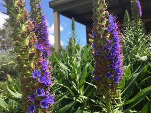 Tegwan's Nest Holiday Home - Accommodation Great Ocean Road 41