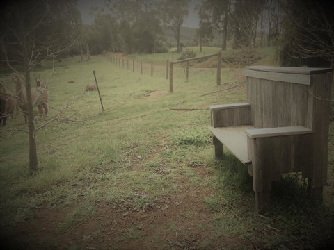 Tegwan's Nest Holiday Home - Accommodation Great Ocean Road 43