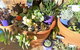 Quest Yelverton Kalgoorlie - thumb 11