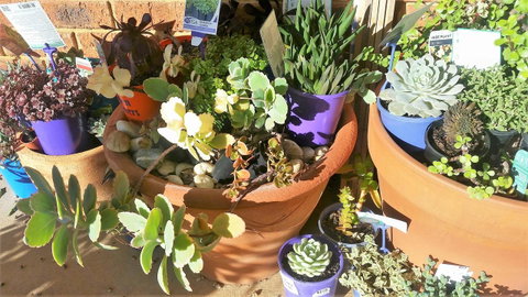 Quest Yelverton Kalgoorlie - Accommodation Great Ocean Road 11