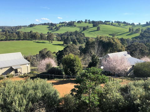 Balingup Highview Chalets - Accommodation Great Ocean Road 5