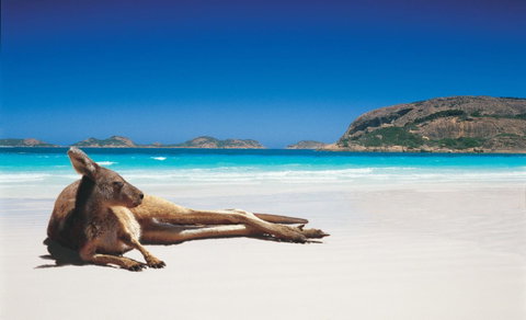 Shiralee Hostel -note - Valid Passport Required To Check In - Accommodation Great Ocean Road 0