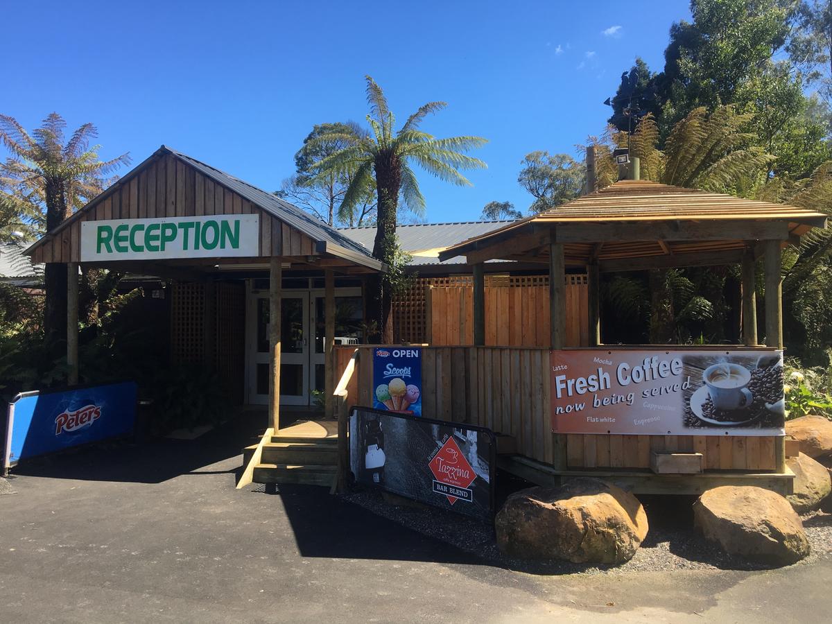  Accommodation Great Ocean Road