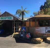 Tullah Lakeside Lodge - Accommodation Great Ocean Road