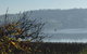 Amble\'a\'While On Tamar - thumb 23