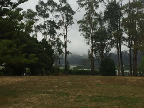 Amble\'a\'While On Tamar - Accommodation Great Ocean Road 39