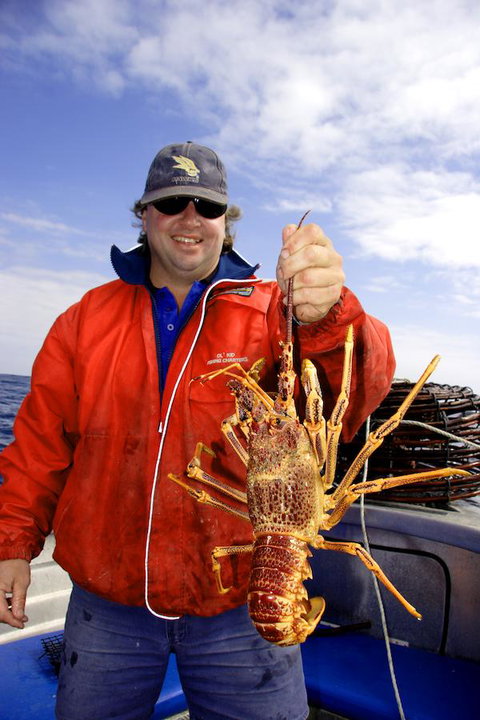 Horizon Deluxe Apartments - Accommodation Great Ocean Road 15