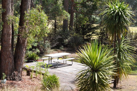 Oyster Cove Chalet - Accommodation Great Ocean Road 24