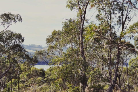 Oyster Cove Chalet - Accommodation Great Ocean Road 17