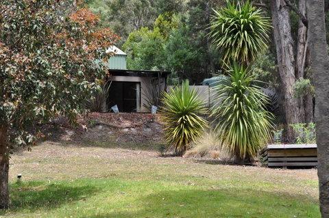 Oyster Cove Chalet - Accommodation Great Ocean Road 21