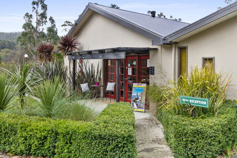 Oyster Cove Chalet - Accommodation Great Ocean Road 13