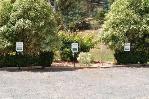 Oyster Cove Chalet - Accommodation Great Ocean Road 19