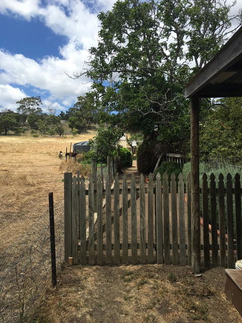 Walnut Cottage - Accommodation Great Ocean Road 13