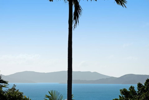 Oasis 25 Hamilton Island - Accommodation Great Ocean Road 0