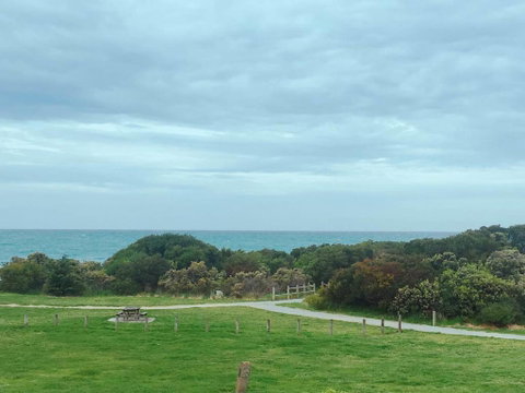 ODYSSEY APOLLO BAY - Accommodation Great Ocean Road 2