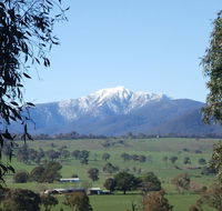 Off Mountain Accommodation - Accommodation Great Ocean Road