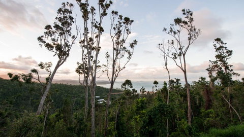 Onestep Airlie Retreat - Accommodation Great Ocean Road 0